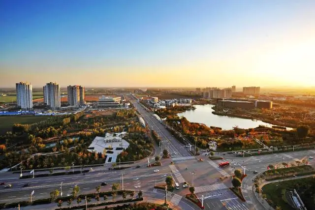 Стратегия проектирования генных цепей для развития синтетической биологии