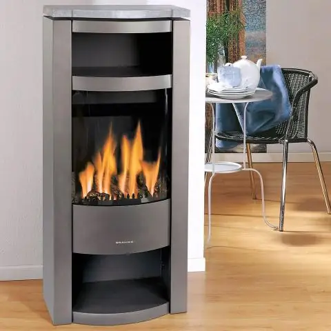 Более 38% популяции неотропических попугаев на американском континенте находятся под угрозой из-за деятельности человека