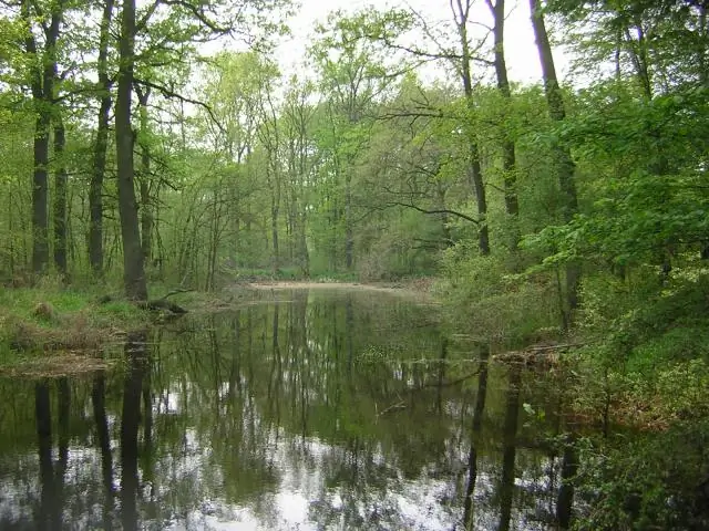 Сохранение пойм – защита от наводнений