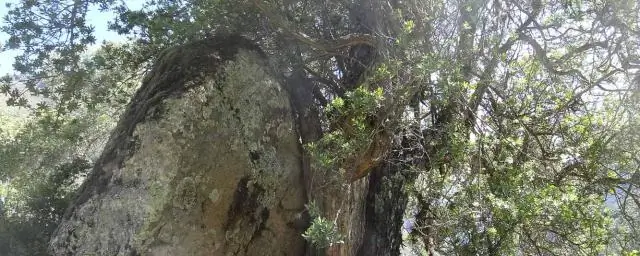 Нестабильные процессы, сформировавшие Землю