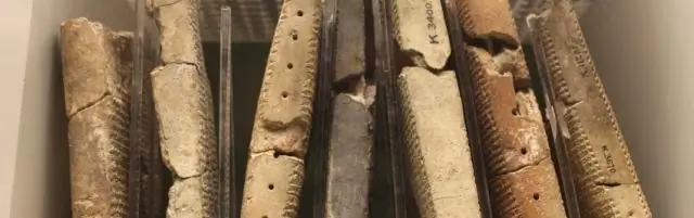 Изучение древнего события в эволюции тыквы, тыквы и дыни