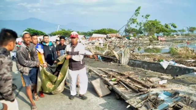 Цунами позволило сотням водных видов переплыть Тихий океан: биологи обнаружили самый длинный трансокеанский сплав прибрежных видов