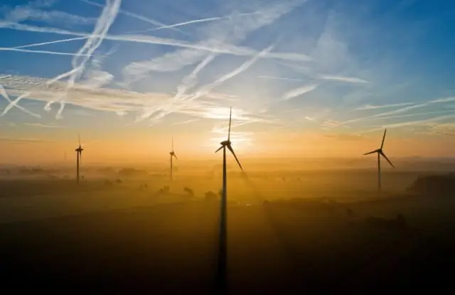 Глобальные выбросы метана от сельского хозяйства превышают заявленные, согласно новым оценкам