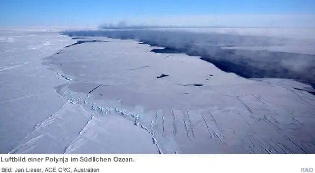 Антарктида: возвращение полыньи Уэдделла поддерживает климатическую модель Киля: спустя 40 лет в Южном океане в середине зимы снова появляется большая свободная ото льда область