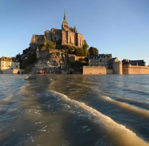 Язвительный отчет: изменение климата представляет собой серьезную угрозу для шмелей