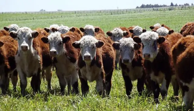 Беспроигрышные стратегии для климата и продовольственной безопасности