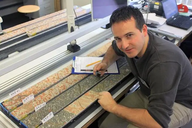 Зародилась ли жизнь на Земле благодаря метеоритам, плескавшимся в теплых маленьких прудах?