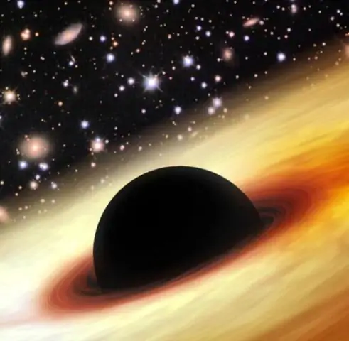 Окаменелость чудовищного крокодила указывает на раннее появление древних рептилий