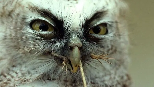 Комки как временное хранилище