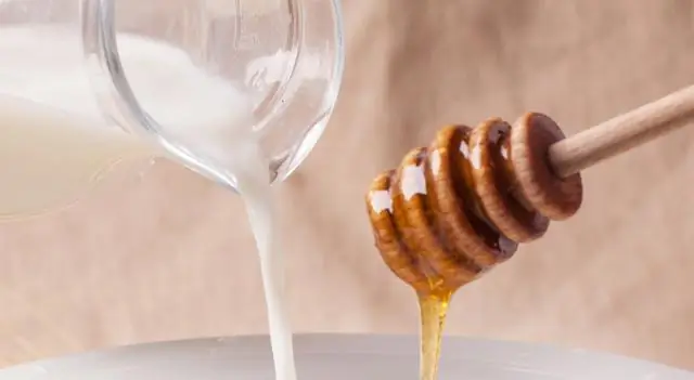 Индустрия производства дуриана может пострадать без летучих мышей, находящихся под угрозой исчезновения