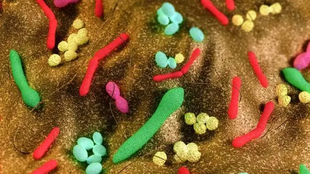 Новый свет на историю Земли: исследование предполагает, что H2, O2, H2O и CO2 образуются в мантии Земли