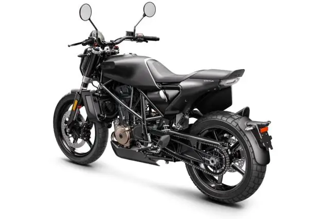 Вычислительное исследование ставит под сомнение новейшую теорию таинственного магнитного компаса птиц