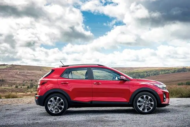 Как желтый и синий дают зеленый у попугаев