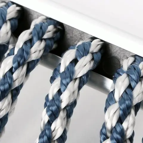 Исследование мозга показывает, как насекомые мчатся домой