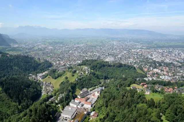 Ключевые виды растений могут иметь важное значение для поддержки опылителей полевых цветов