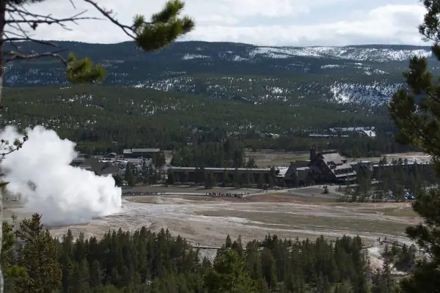 Раскрыто геологическое сердце Old Faithful: густая сеть сейсмографов показывает подземные гейзерные водопроводные структуры