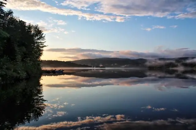 Прогнозирование пищевых предпочтений насекомых после вырубки лесов