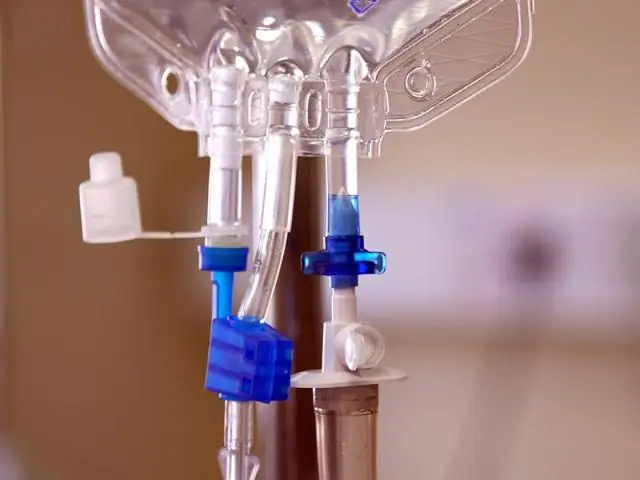 Кровь динозавра? Новое исследование призывает к осторожности в отношении окаменелых мягких тканей