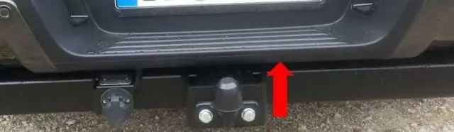 Открытие «фальшивых плавников» выявило новые виды ихтиозавров