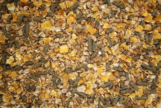 Белок ограничивает поглощение сока тлей