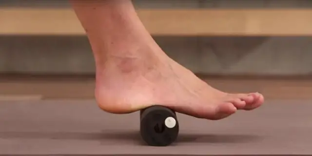 Кишечные грибы могут играть роль в эпидемии ожирения