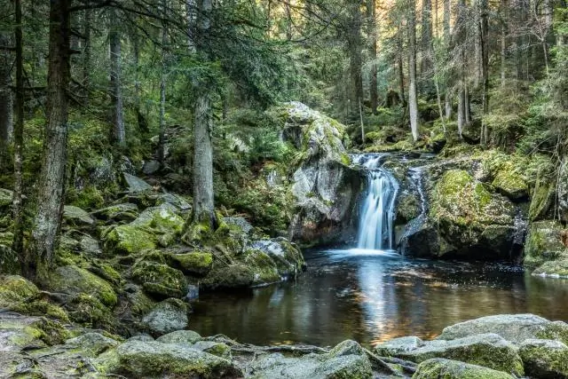 Карта микробного ландшафта кишечника: работа вытекает из новой комбинации визуализирующих и химических технологий