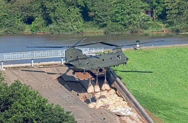 «Убийственная» зубная боль, вероятно, причиняет страдания касаткам в неволе: киты грызут бетон и стальные поверхности резервуаров