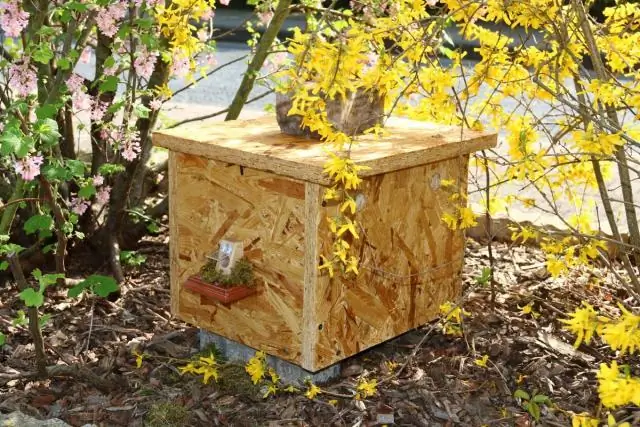 Управление выпасом скота, совместимое с гнездованием большого шалфейного тетерева