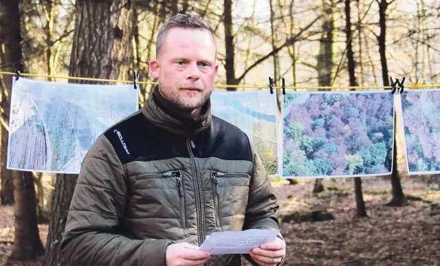 Как бактерии кишечной палочки адаптируются к стрессу