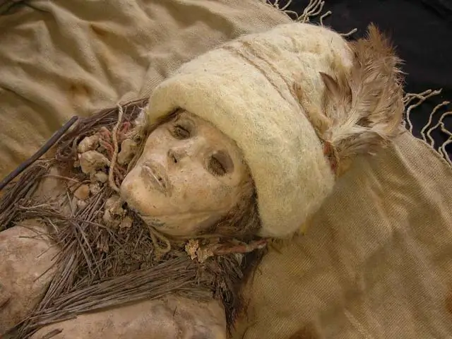 Клеточная биология: белки могут предотвращать дисфункции и болезни, расслабляя, показывают исследования