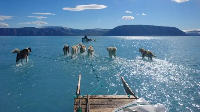 Тающий лед делает море вокруг Гренландии менее соленым