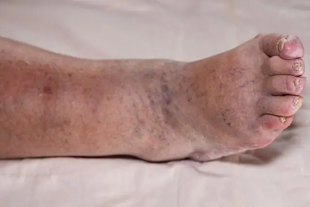 «Прятаться у всех на виду»: «Дискавери» поднимают вопросы о масштабах упущенного биоразнообразия