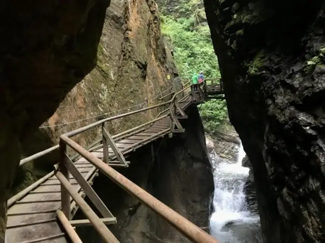 Исключительно сохранившаяся морская черепаха демонстрирует древнюю защиту от солнца