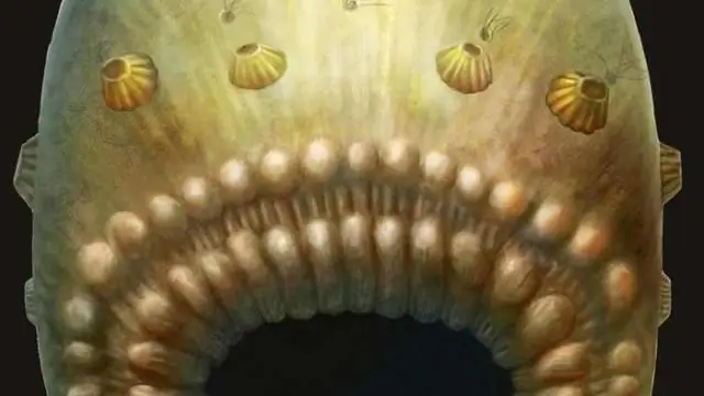 Древнее масло прихорашивания: исследователи обнаружили липиды возрастом 48 миллионов лет в ископаемой птице