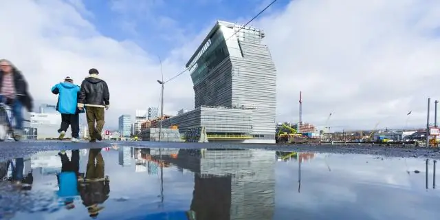 Выносливые кораллы строят новые рифы с нуля