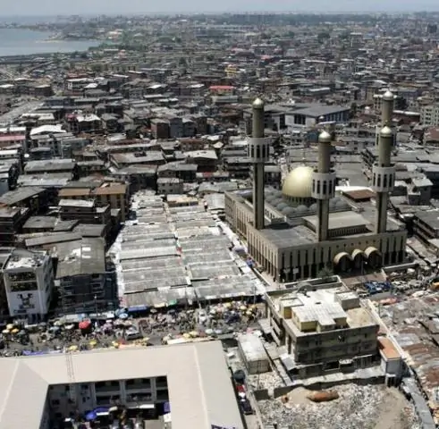 Сокращающиеся птенцы певчих птиц нуждаются в лесах, чтобы пережить засуху