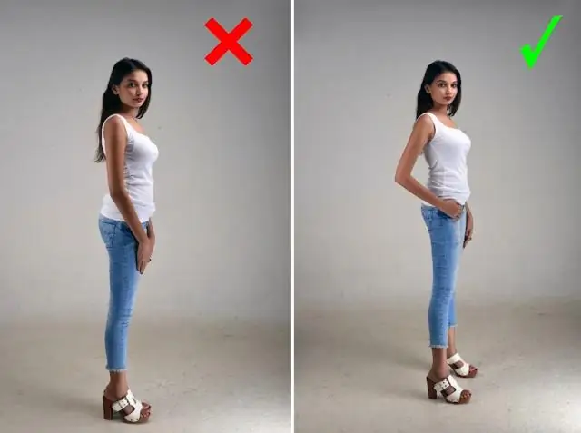 Три четверти общей популяции насекомых исчезли в охраняемых природных заповедниках