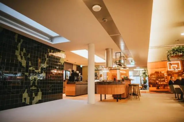 Древняя ДНК предлагает новый взгляд на прошлое саблезубых кошек