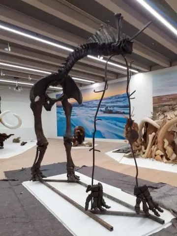 Новая окаменелость тираннозавра наиболее полная найдена на юго-западе США: исследователи поражены, обнаружив почти полный скелет с множеством костей в жизненном положении