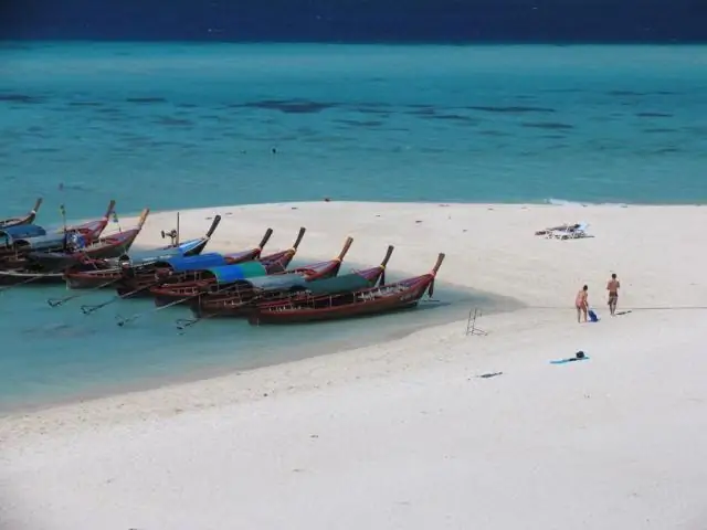 Климатические сдвиги укорачивают морскую пищевую цепочку у берегов Калифорнии: исследования опровергают прежнее мнение о том, что пищевые цепи остаются неизменными во времени