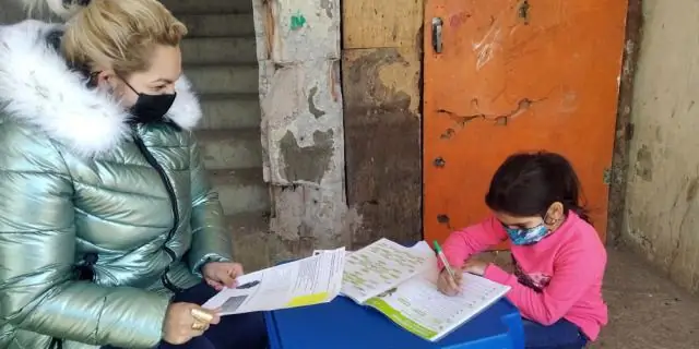 Жизнь морских экосистем продолжается после катастрофического массового вымирания