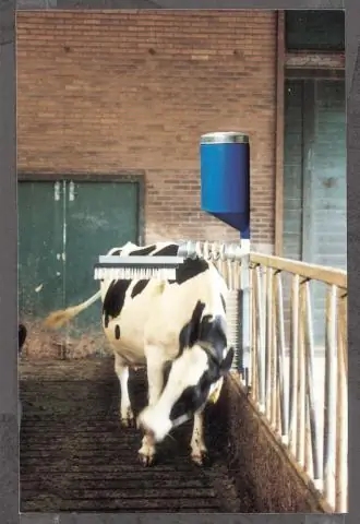 «Аромат антилопы» отпугивает мух от коров: исследователи, участвующие в исследовании, которое показывает, как можно обмануть муху цеце в Африке