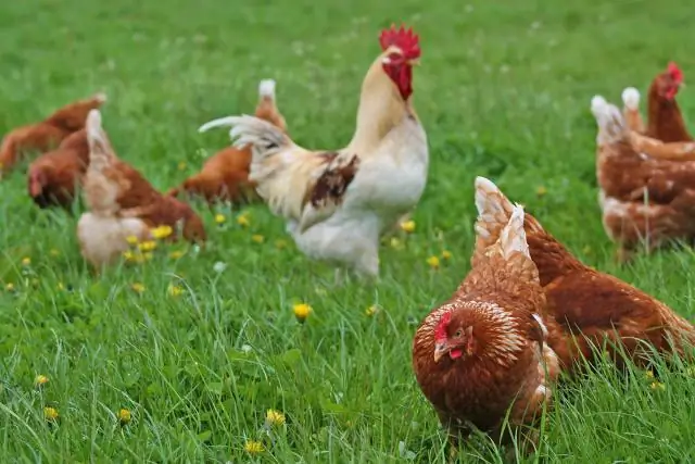 Грунтовые воды и пожары в тундре могут работать вместе, чтобы растопить вечную мерзлоту