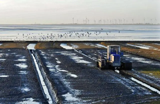Повышение уровня моря, а не более сильный штормовой нагон, вызовет наводнение в Нью-Йорке в будущем