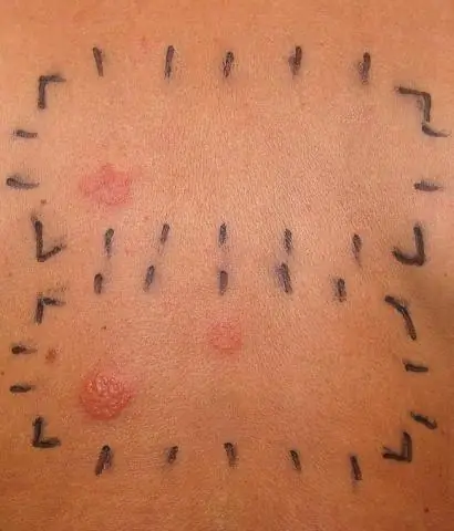 Ледяные щиты могут быстро таять из-за далеких вулканов: изучение древних извержений показывает, что современные ледяные щиты могут быть уязвимы