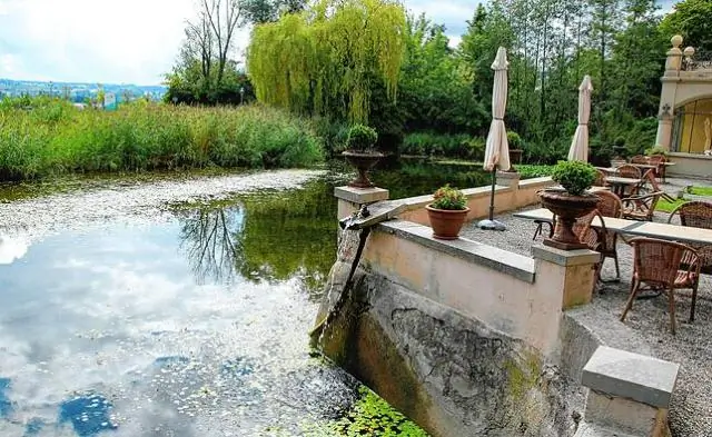 Изменение климата может привести к постепенному голоданию бамбуковых лемуров