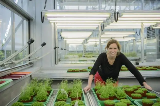 Как растения выбирают образец для нового листа