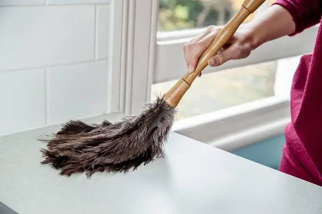 Механизм, с помощью которого бактерии прикрепляются к поверхностям: исследования могут помочь ученым контролировать рост бактерий