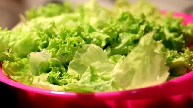 «Тоните» или плывите к солончакам: понимание процессов, которые контролируют поток углерода в болотах