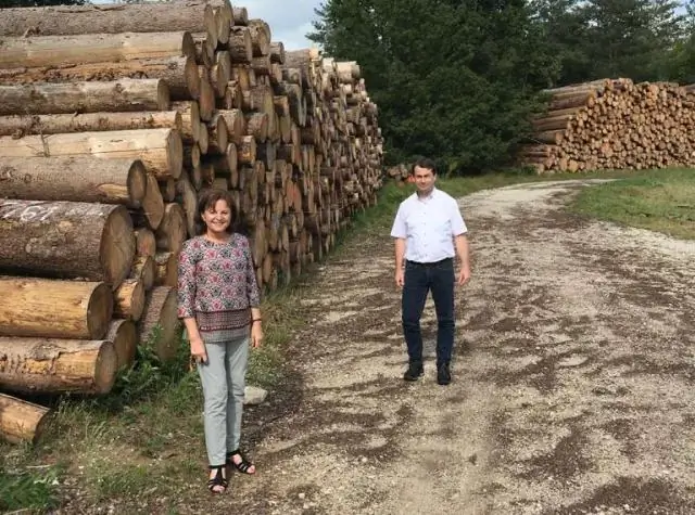 Появление «зеленого» скота